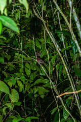 Obraz premium Costa Rica beautiful nature