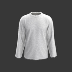 Fur longsleeve sweater. 3d rendering, 3d illustration