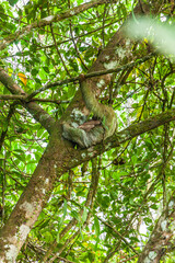 Costa Rica beautiful nature