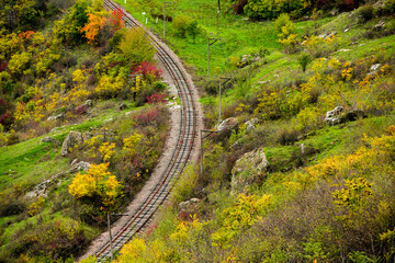 Russian Straight Railway with trees. Landscape with railroad, summer time traveling, freedom of...