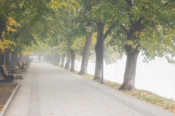 Foggy alley in autumn city park, beautiful misty landscape with a pavement, trees and benches, outdoor travel background, Uzhhorod, Ukraine