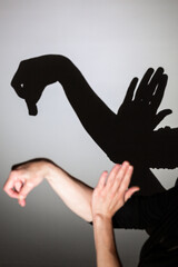 shadow play projected against a white background. swan