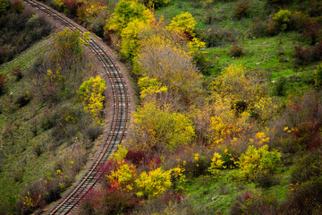 Russian Straight Railway with trees. Landscape with railroad, summer time traveling, freedom of movement.