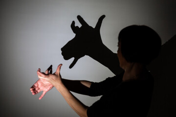 play shadow projected against a white background, rudolph reindeer