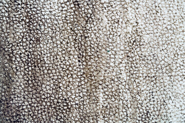 dirty leather background