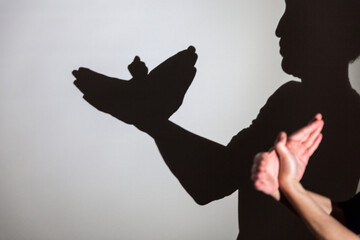 play shadow projected against a white background. pigeon