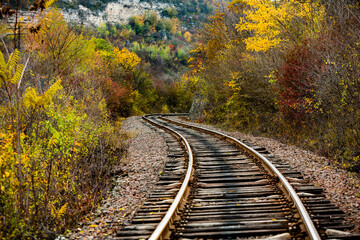 Russian Straight Railway with trees. Landscape with railroad, summer time traveling, freedom of movement.
