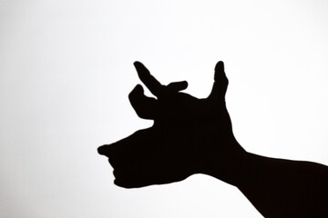 play shadow projected against a white background, rudolf reindeer
