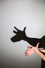 play shadow projected against a white background, rudolf reindeer