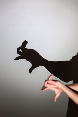 play shadow projected against a white background. a rabbit.