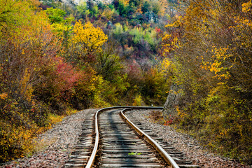 Obraz premium Russian Straight Railway with trees. Landscape with railroad, summer time traveling, freedom of movement.