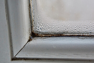 Mold fungus and condencation on window frame and on glass