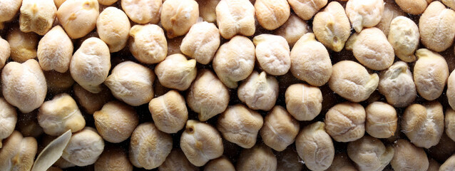 organic dried chickpeas on  background
