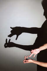 play shadow projected against a white background. wolf and rabbit