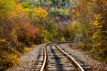 Russian Straight Railway with trees. Landscape with railroad, summer time traveling, freedom of...