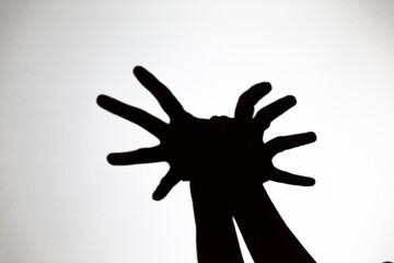 play shadow projected against a white background, spider