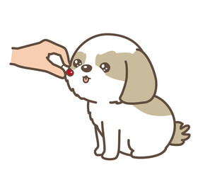 犬に薬を飲ませる