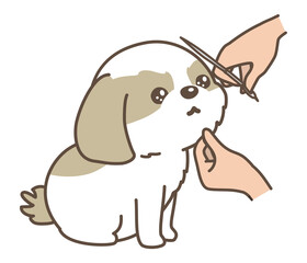 犬のトリミング　フェイスカット　シーズー