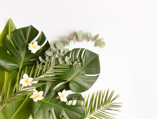 Tropischer Hintergrund mit Palmblättern und Blumen. © Kotkoa