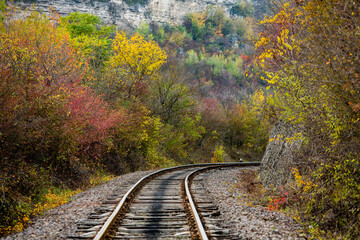 Fototapeta premium Russian Straight Railway with trees. Landscape with railroad, summer time traveling, freedom of movement.