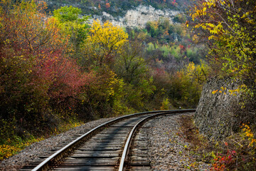 Russian Straight Railway with trees. Landscape with railroad, summer time traveling, freedom of movement.