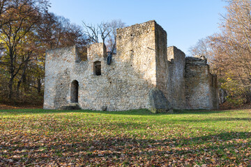 The ruin of the defensive manor in Bakowa Gora (Bąkowa Góra), Poland © Dejan Gospodarek