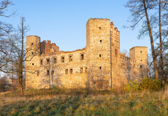 Bishop's castle in Drzewica, Poland © Dejan Gospodarek