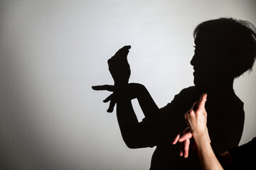 play shadow projected against a white background. a bird.