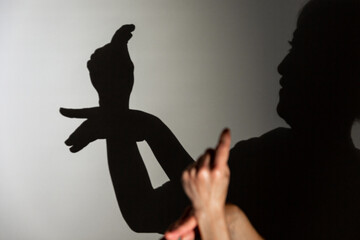 play shadow projected against a white background. a bird.