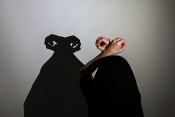 play shadow projected against a white background. a monster.