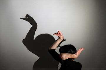 shadow play projected against a white background. swan