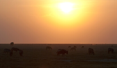 Fototapeta na wymiar Landschap Amboseli, Landscape Amboseli