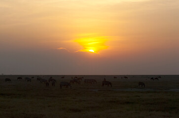 Fototapeta na wymiar Landschap Amboseli, Landscape Amboseli