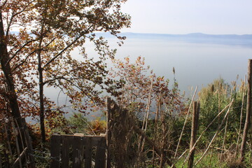 lake view in autumn season