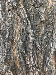 texture