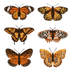 Obraz na płótnie Canvas Vector set with isolated butterflies. Handdrawn design