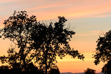 Fototapeta premium sunset in the mountains