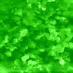 みずみずしい新緑のイメージ