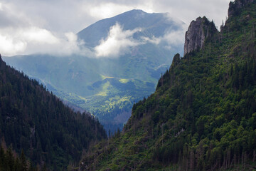 Górski krajobraz pejzaż góry las chmury natura