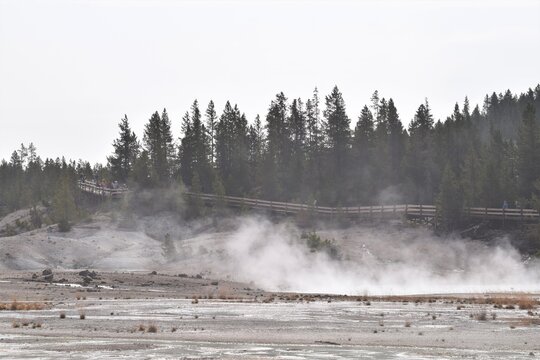 Yellowstone National Park Wyoming Hot Spring Geyser And Its Walking Road