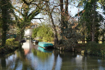 Obraz premium Sonnige Flusslandschaft im Spreewald bei Lübbenau mit Kähnen