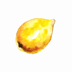 Juicy, watercolor, ripe lemon on a white background.Yellow lemon can be used in factory design, Wallpaper, juices,creams, postcards, cosmetics packaging.