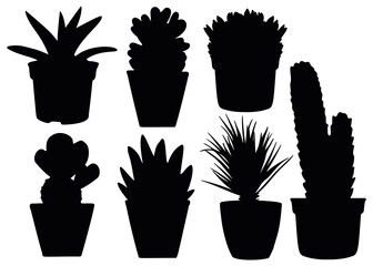 Home flowers in the set. Vector image.