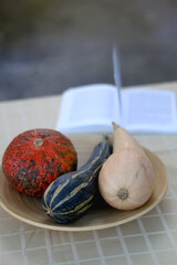 Wooden bowl with three different gourds and open book on the table. Selective focus.