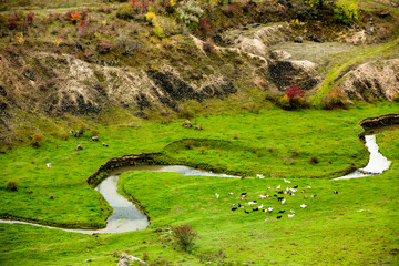 Beautiful rural landscape in Europe, Amazing nature in autumn.