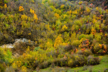 Beautiful rural landscape in Europe, Amazing nature in autumn.