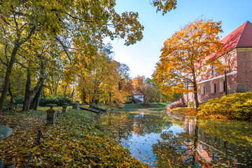 Obraz premium Autumn trees alley with colorful leaves in the park