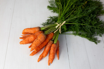 a bunch of young carrots on a white background. carrot with leaves