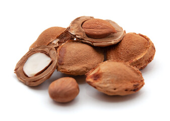 Dry apricot kernels and nutshell isolated on white background closeup.
