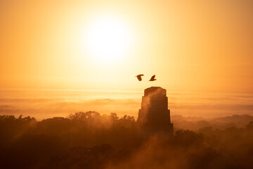 A pair of parrots fly over an anciet Mayan temple.